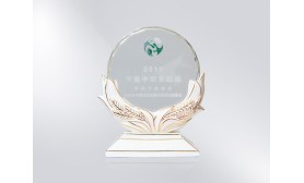 中國節(jié)能協(xié)會 2010節(jié)能中國貢獻獎